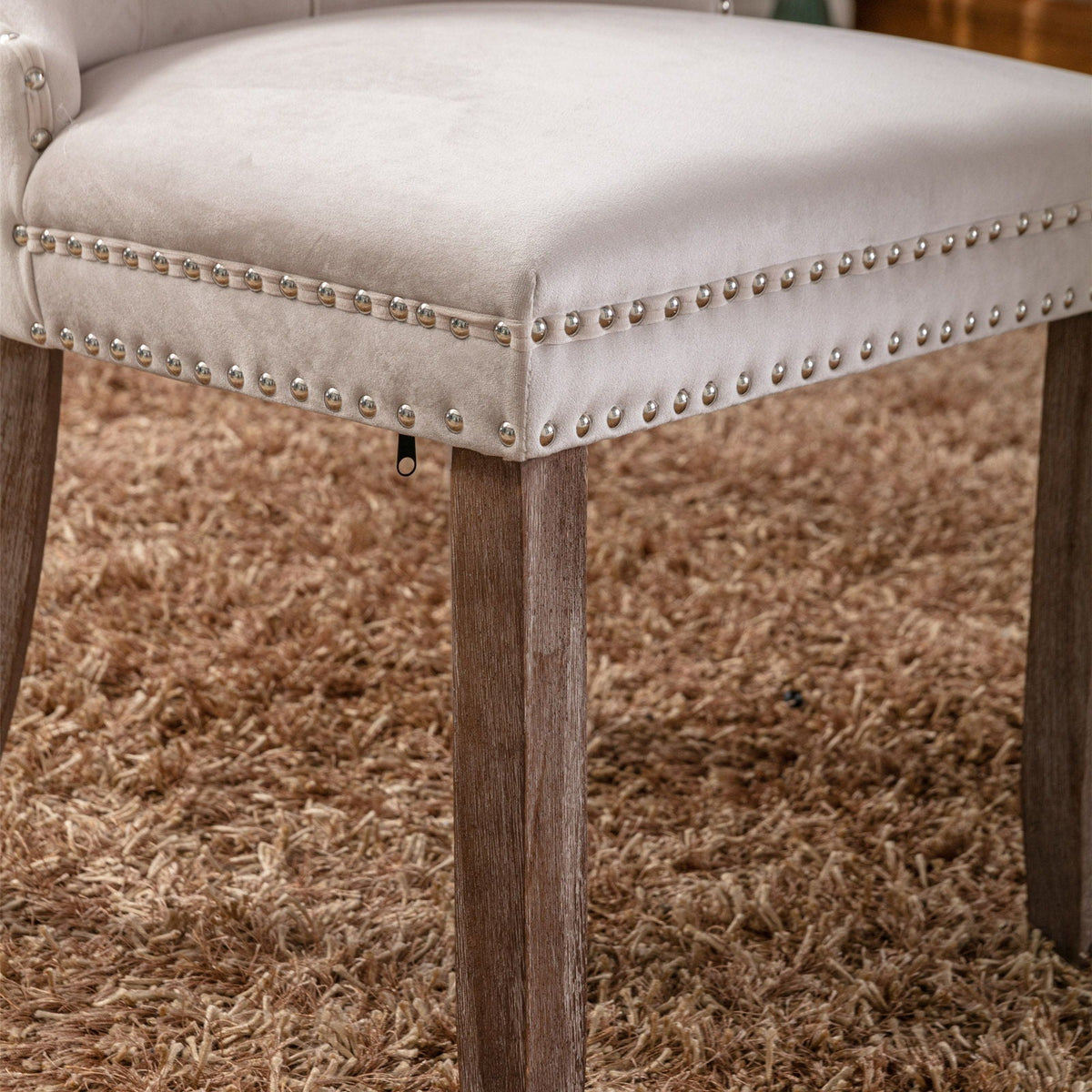 Tufted dining chair with beige velvet upholstery, silver nailhead trim, and dark wood legs on Tampa Home & Garden Store