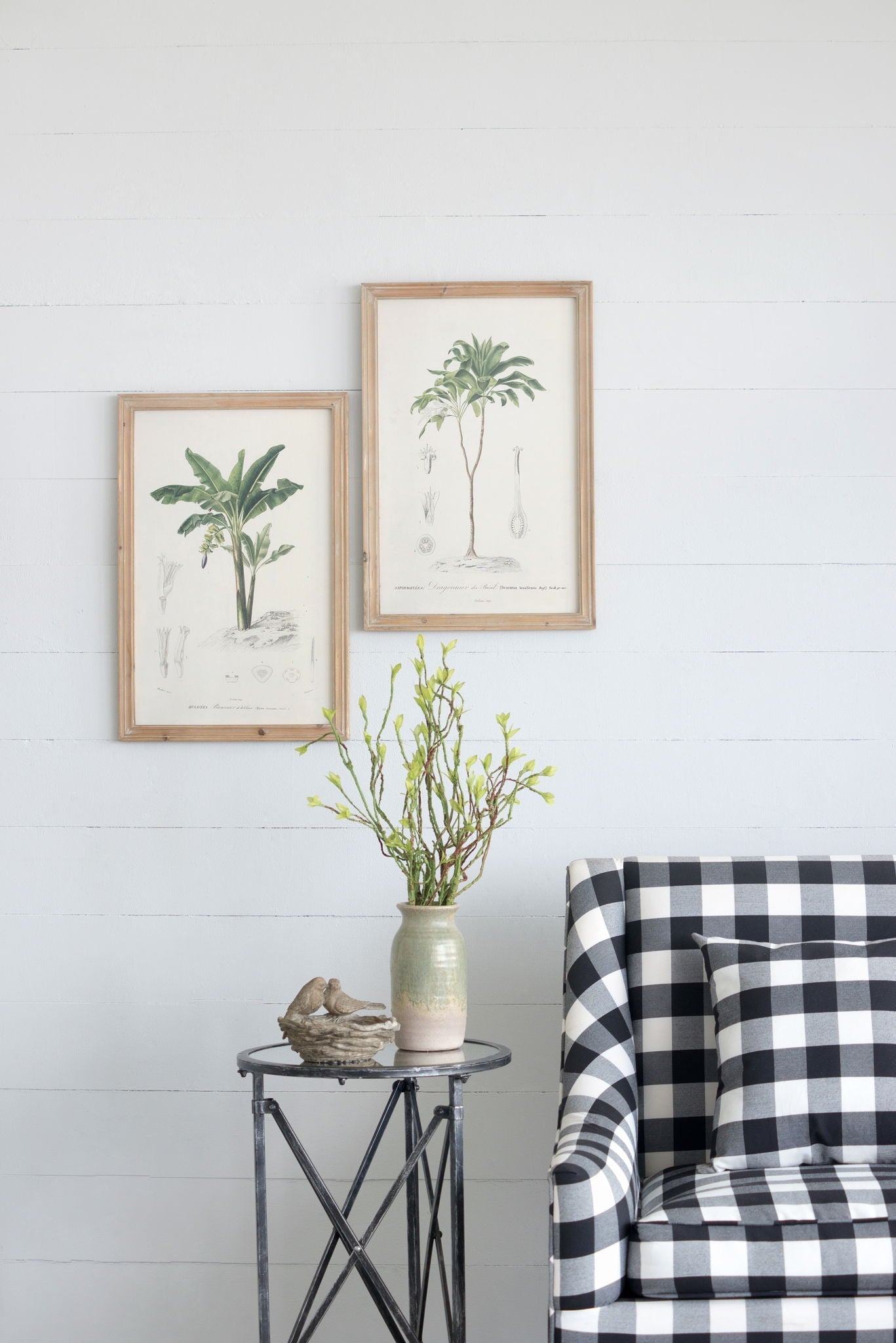 Tree Framed Print Set of 2 in natural wood frames with multicolor botanical illustrations on Tampa Home & Garden Store
