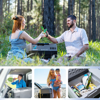 HouseOfZazla portable car freezer cooler with 6in off-road wheels gray Lion Cooler logo on Tampa Home & Garden Store