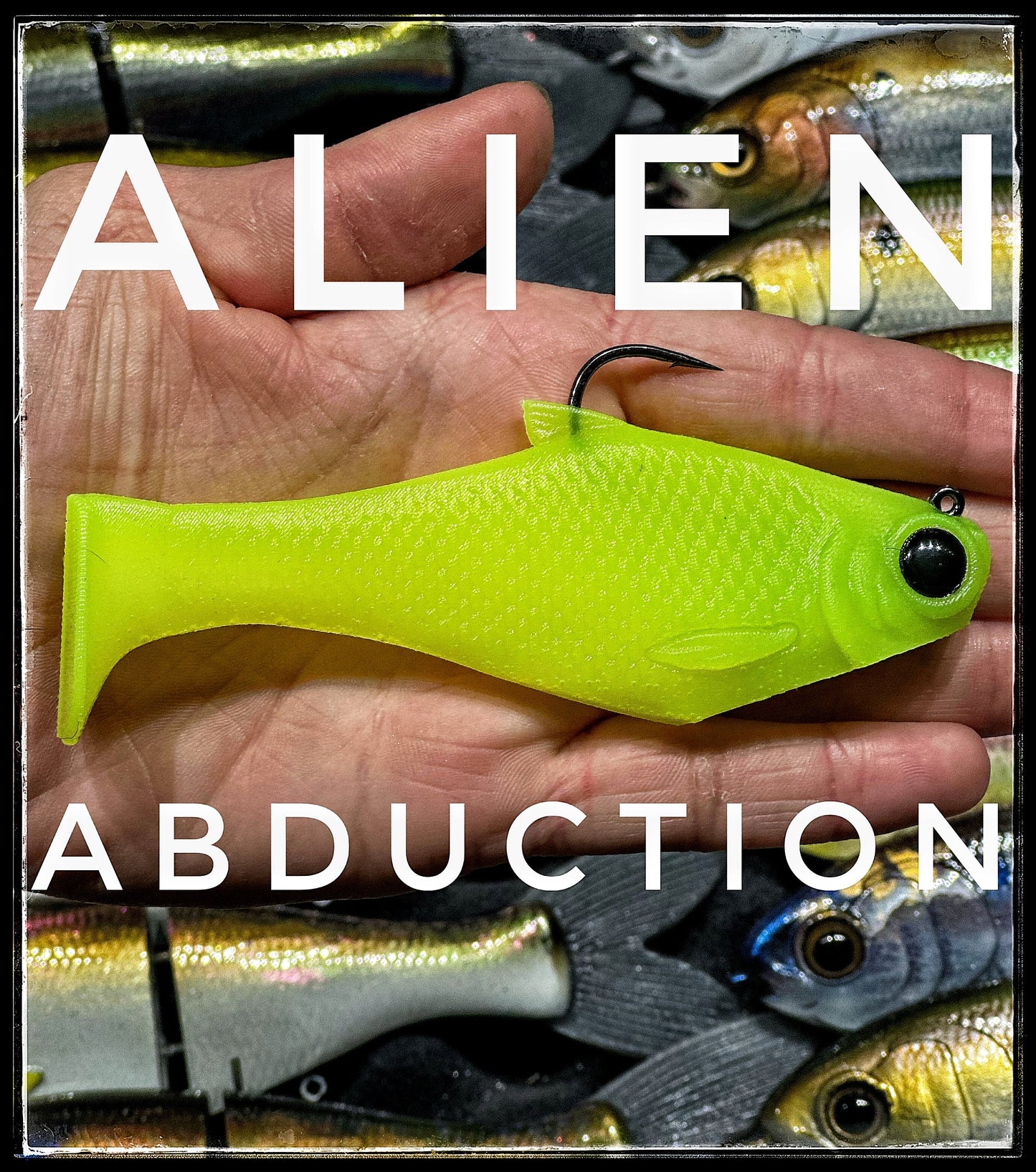 Bacca Burrito boot-tail soft swimbait neon lime color with black hook Bull Shad Swimbaits on Tampa Home & Garden Store