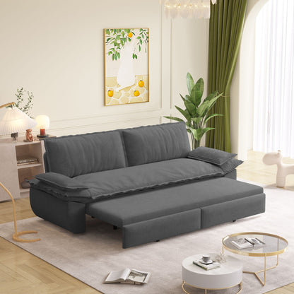 Queen Sleeper Bed and a 3 in 1 Convertible Sofa