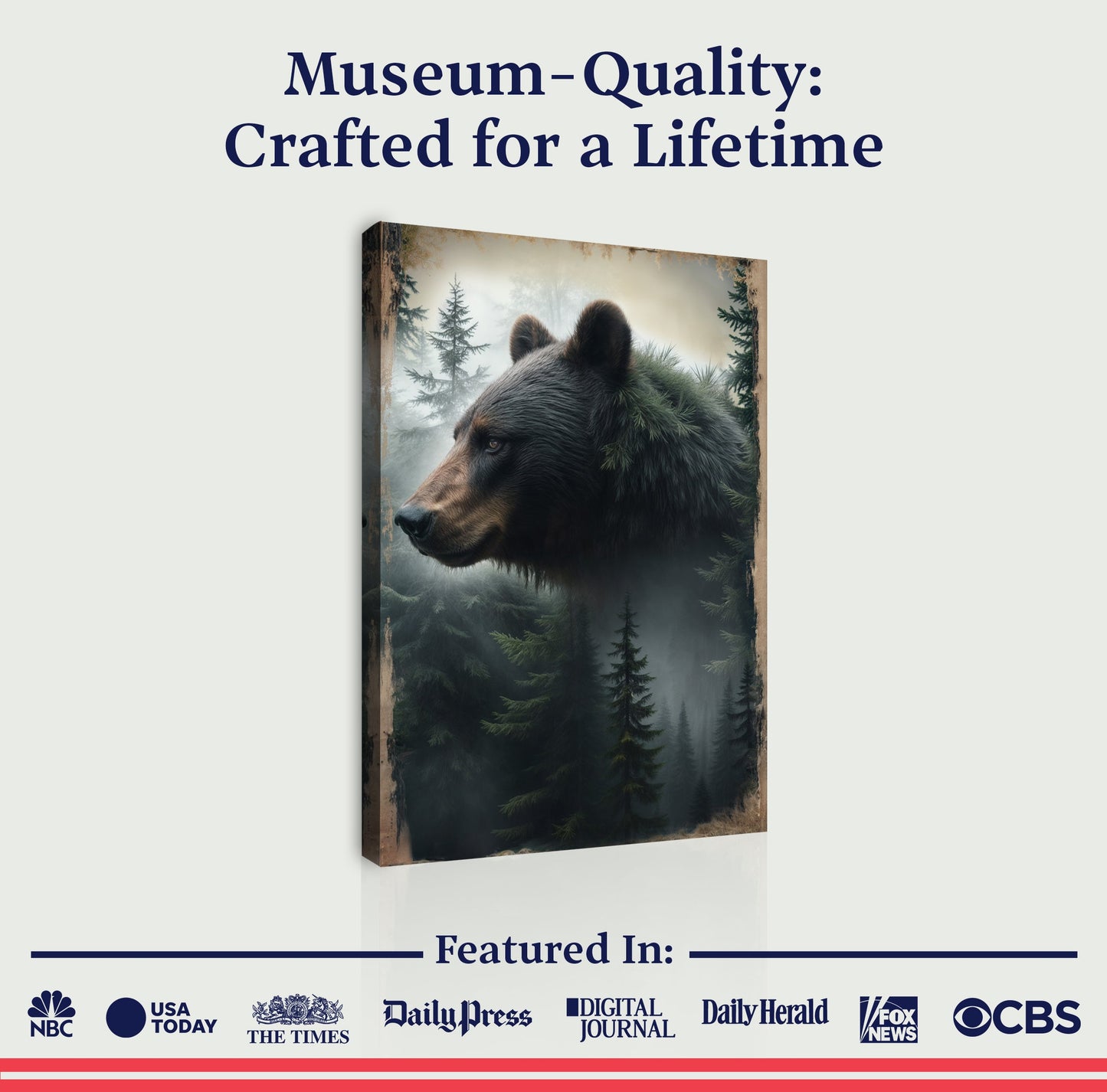 Black Bear Exposure Wall Art Canvas by Tailored Canvases forest bear scene on wood frame on Tampa Home & Garden Store