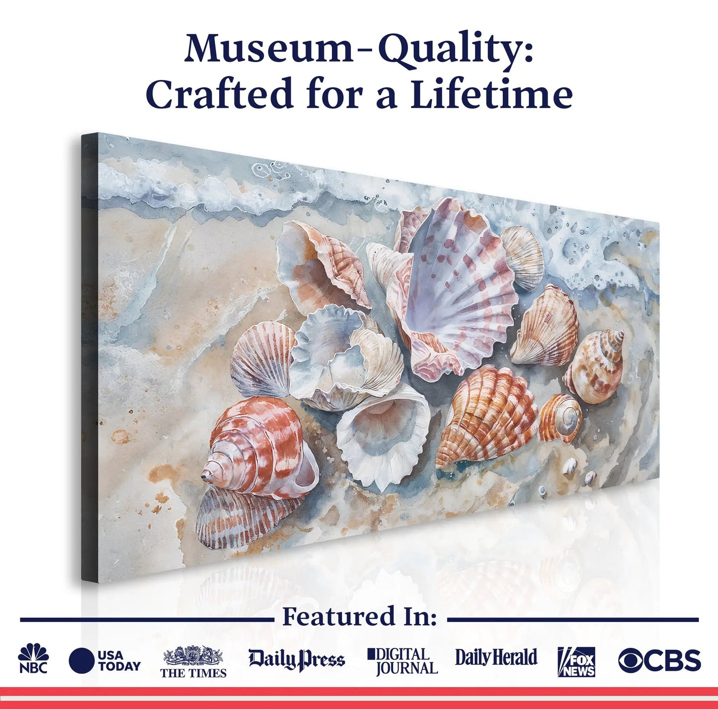 Sea Shells Modern Coastal Wall Art canvas by Tailored Canvases; seashells on a beach scene on Tampa Home & Garden Store