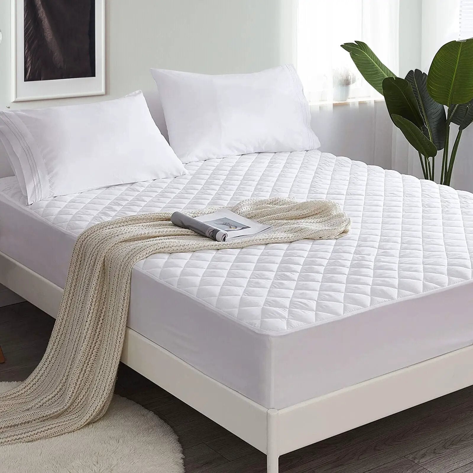 - image on Tampa Home & Garden Store