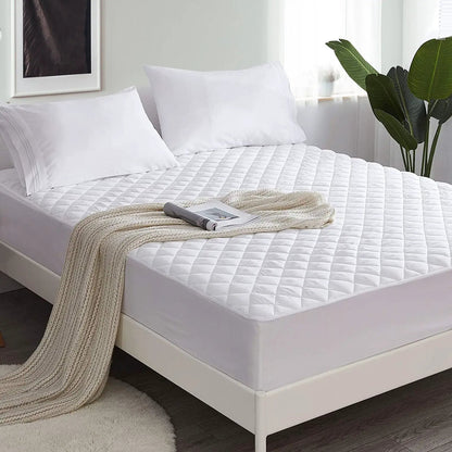 - image on Tampa Home & Garden Store