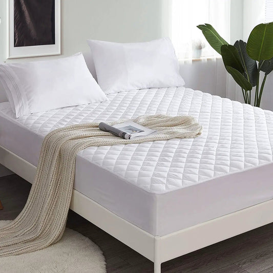 - image on Tampa Home & Garden Store