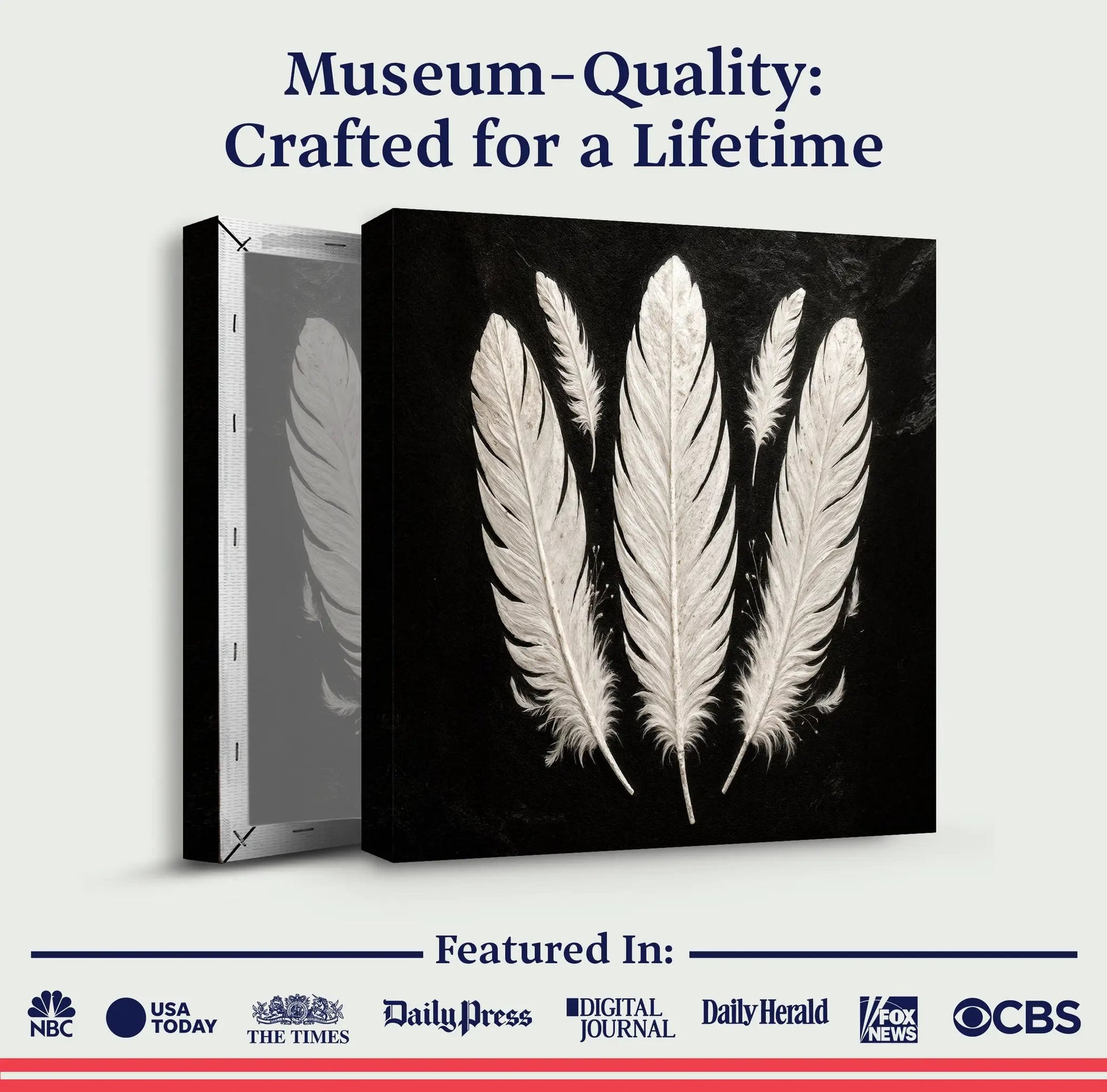 Monochrome Feather Wall Art Tailored Canvases black ivory feathers Canvas on Tampa Home & Garden Store