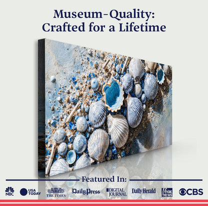 Sea Shells Modern Coastal Wall Art II canvas with blue seashells by Tailored Canvases on Tampa Home & Garden Store