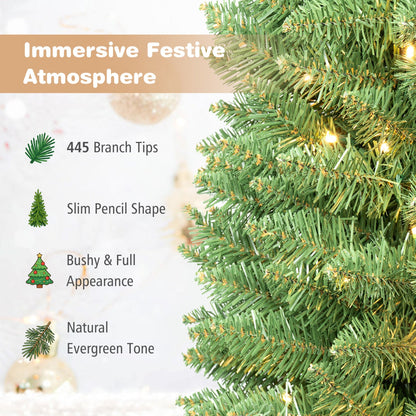 6 ft pre-lit pencil Christmas tree with 180 warm white LEDs, slim pencil shape on Tampa Home & Garden Store