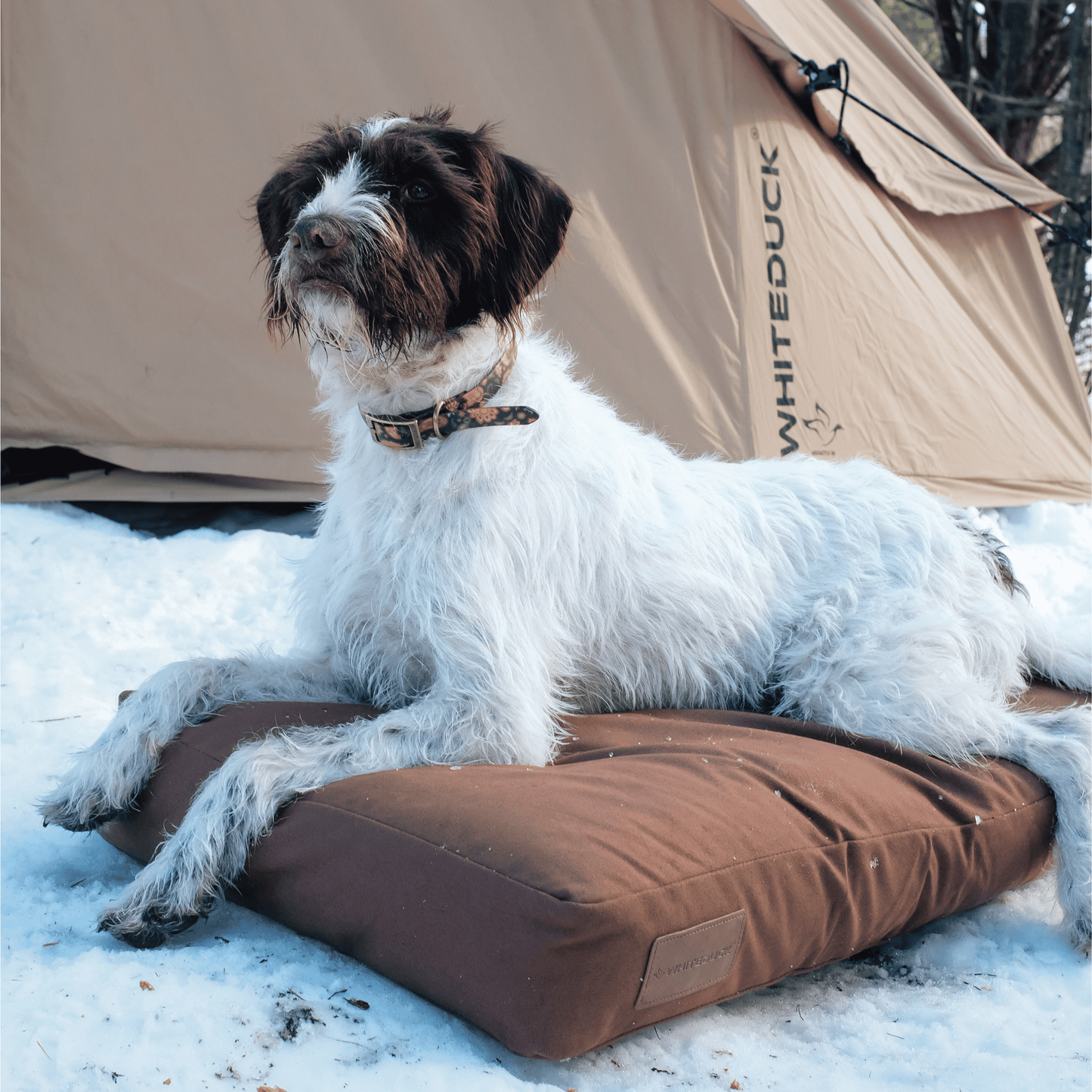 Dog Beds & Dog Bed Covers
