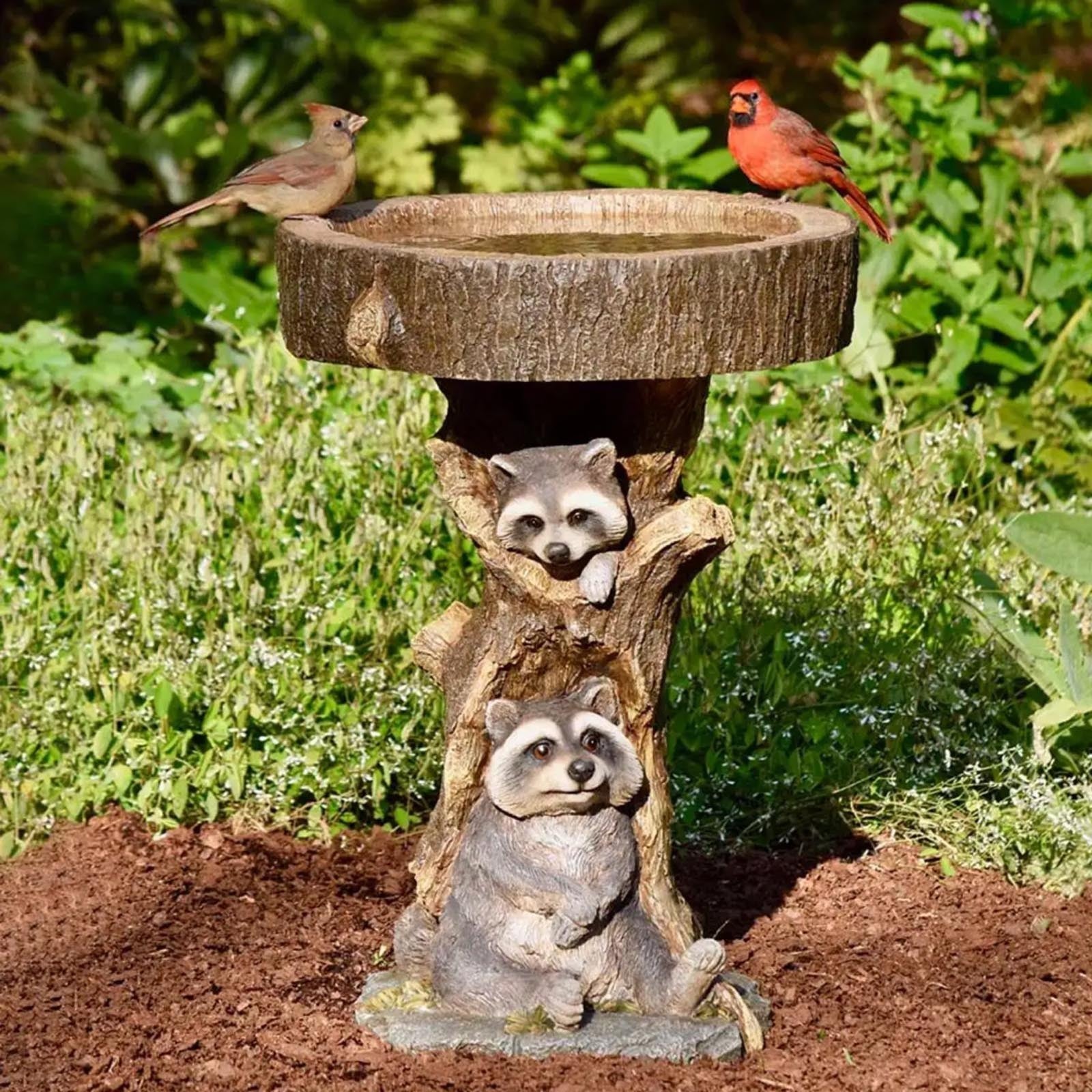 Raccoon resin garden statue with birdbath on a tree pedestal; sparrow and cardinal perched on Tampa Home & Garden Store