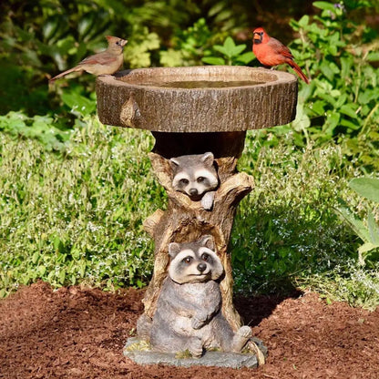 Raccoon resin garden statue with birdbath on a tree pedestal; sparrow and cardinal perched on Tampa Home & Garden Store