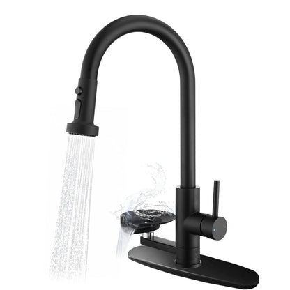 3 In 1 Kitchen Faucet and Press Glass Rinser