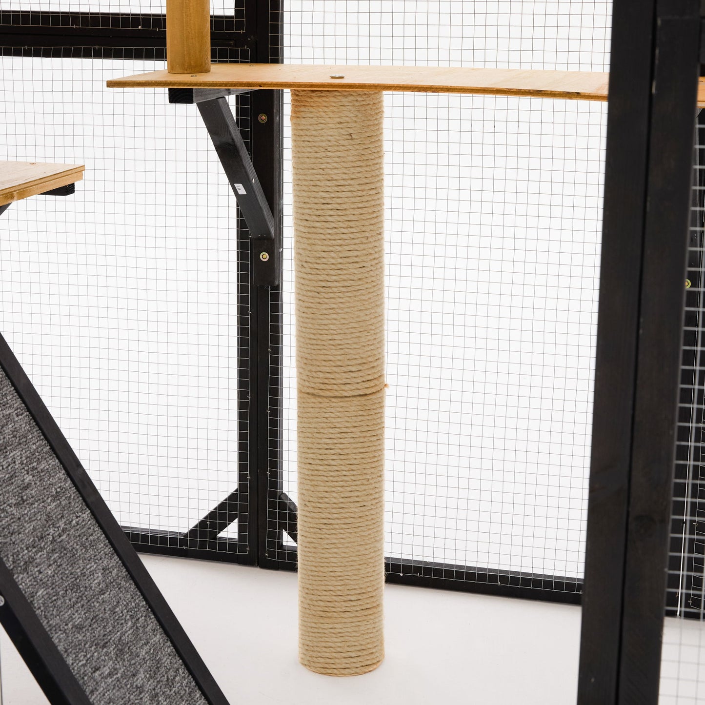 Multi Level Outdoor Cat Enclosure and Platform