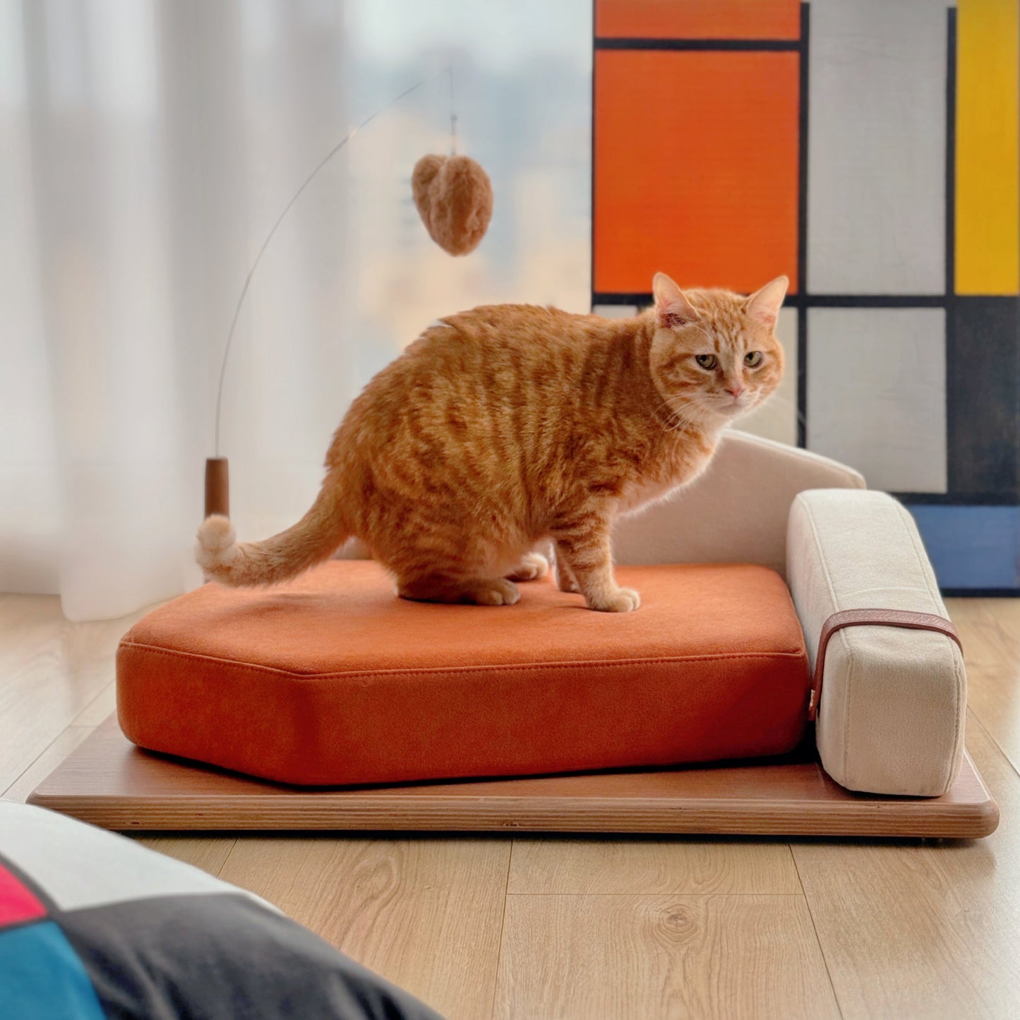 Wooden pet bed for cats & dogs with orange cushion, ginger cat on it in a living room on Tampa Home & Garden Store