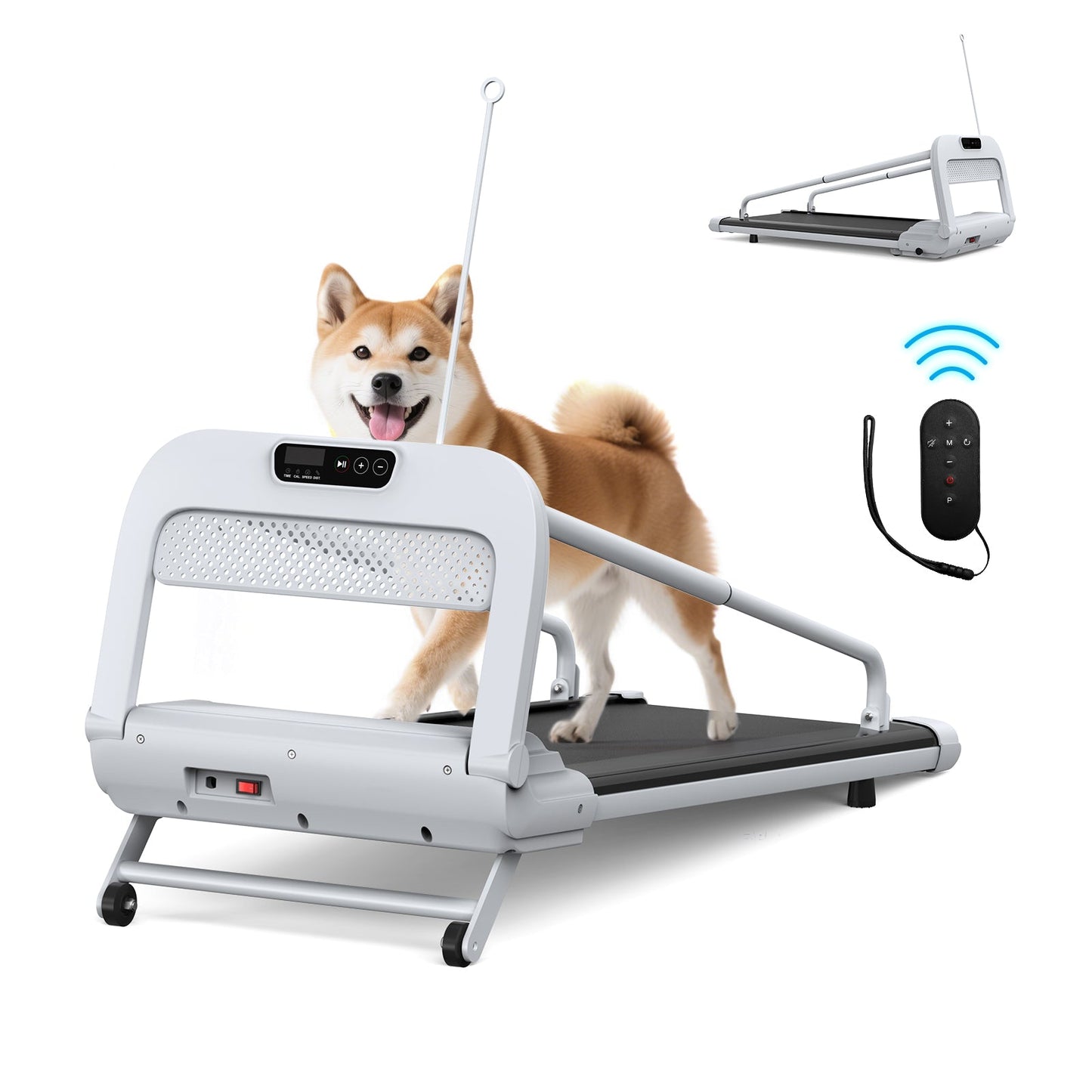 HouseOfZazla 2025 New Quiet Smart Pet Treadmill white frame with built-in display on Tampa Home & Garden Store