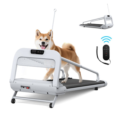 HouseOfZazla 2025 New Quiet Smart Pet Treadmill white frame with built-in display on Tampa Home & Garden Store