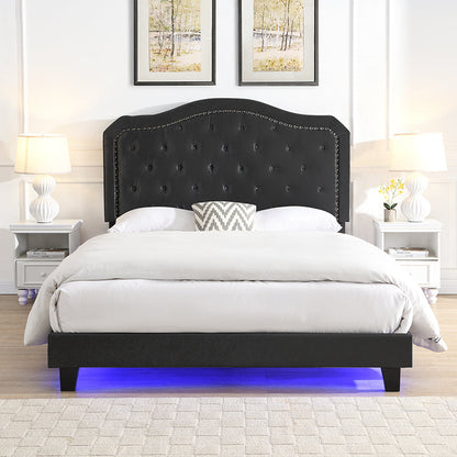 Queen Upholstered Bed with curved, button-tufted black back, nailhead trim and LED glow on Tampa Home & Garden Store