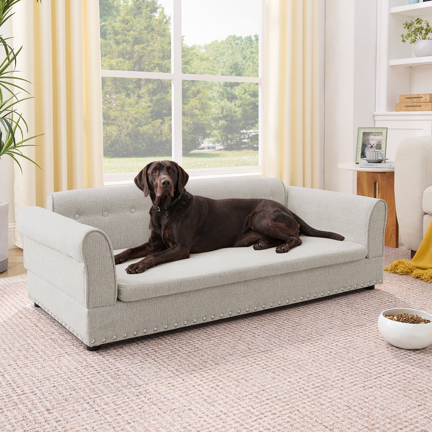Oversized pet sofa in gray linen, tufted cushion with nailhead trim, dog resting indoors on Tampa Home & Garden Store