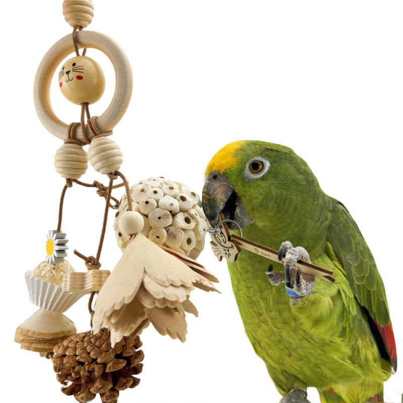 Parrot natural ricepaper plant pith ball safety toy with wooden rings, beads, pinecones on Tampa Home & Garden Store