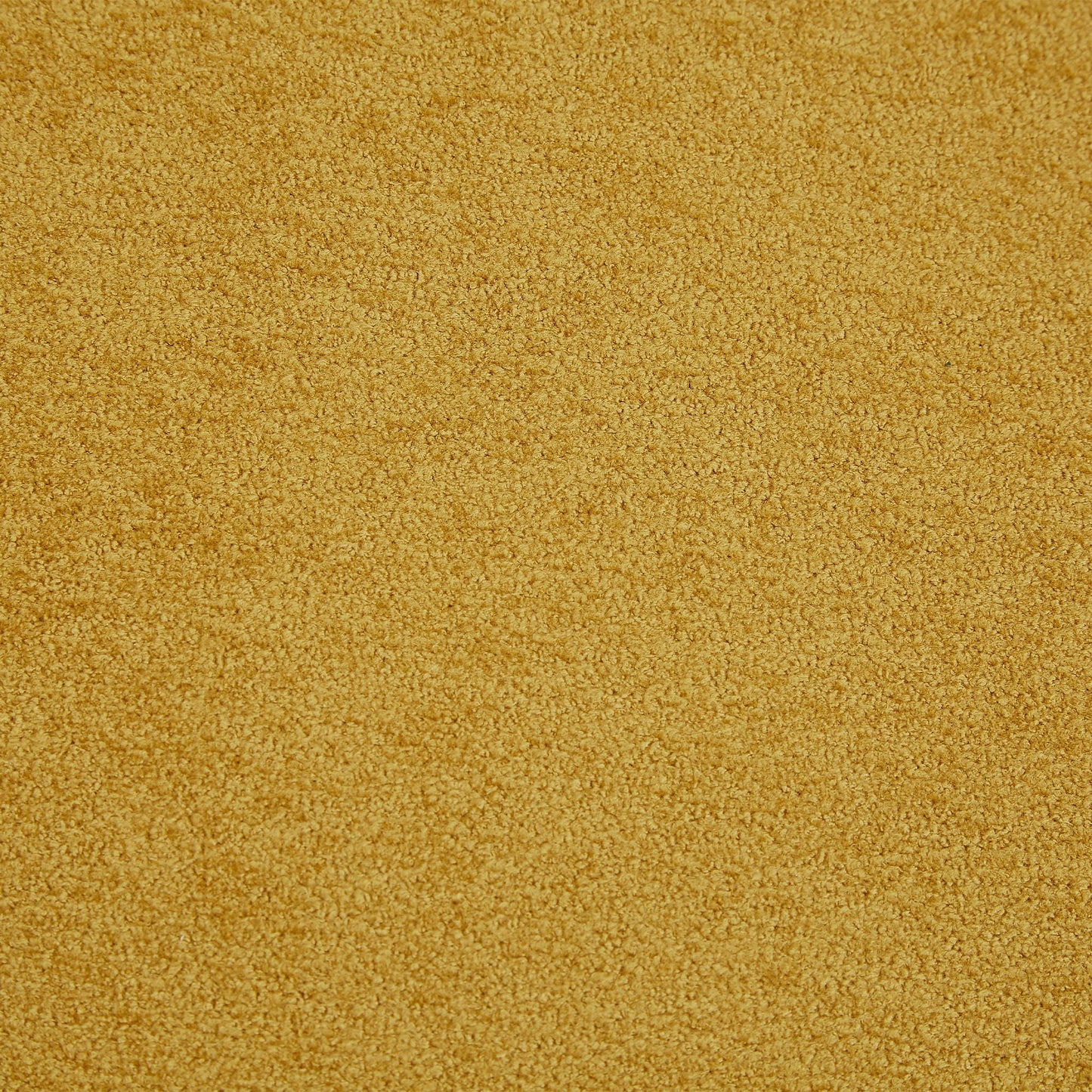 Golden beige textured carpet close-up with plush loop pile on Tampa Home & Garden Store