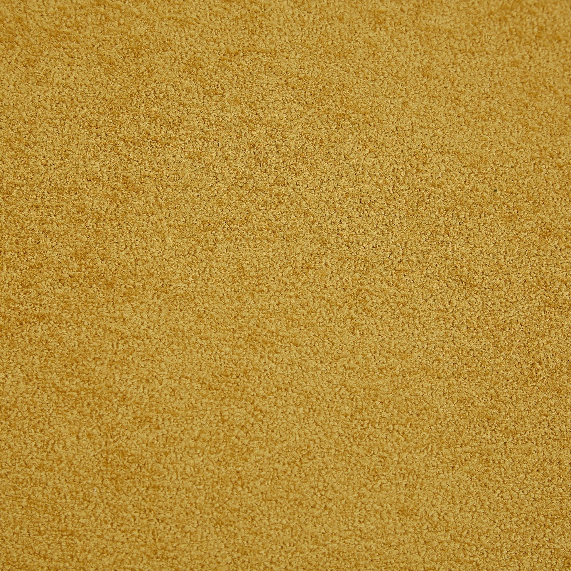 Golden beige textured carpet close-up with plush loop pile on Tampa Home & Garden Store