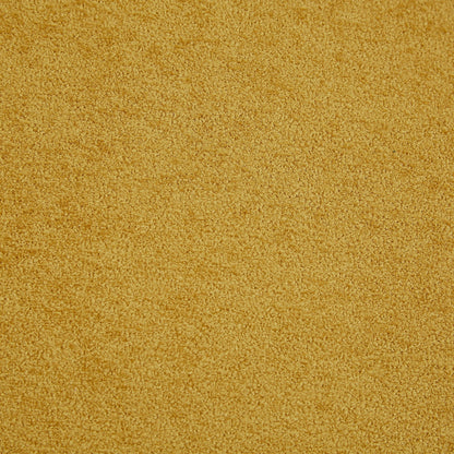 Golden beige textured carpet close-up with plush loop pile on Tampa Home & Garden Store