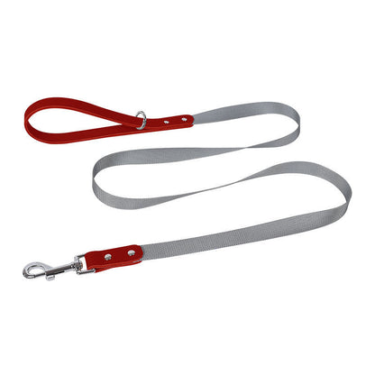 Leather dog harness and gray nylon leash by Pet Zen for walking on Tampa Home & Garden Store