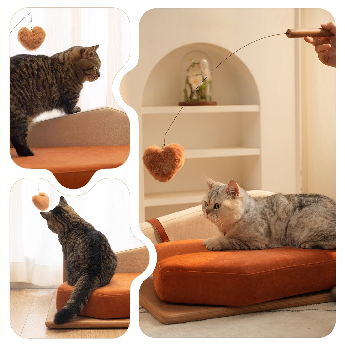 Wooden Pet Bed for Cats & Dogs by HouseOfZazla with orange cushion; two cats explore on Tampa Home & Garden Store