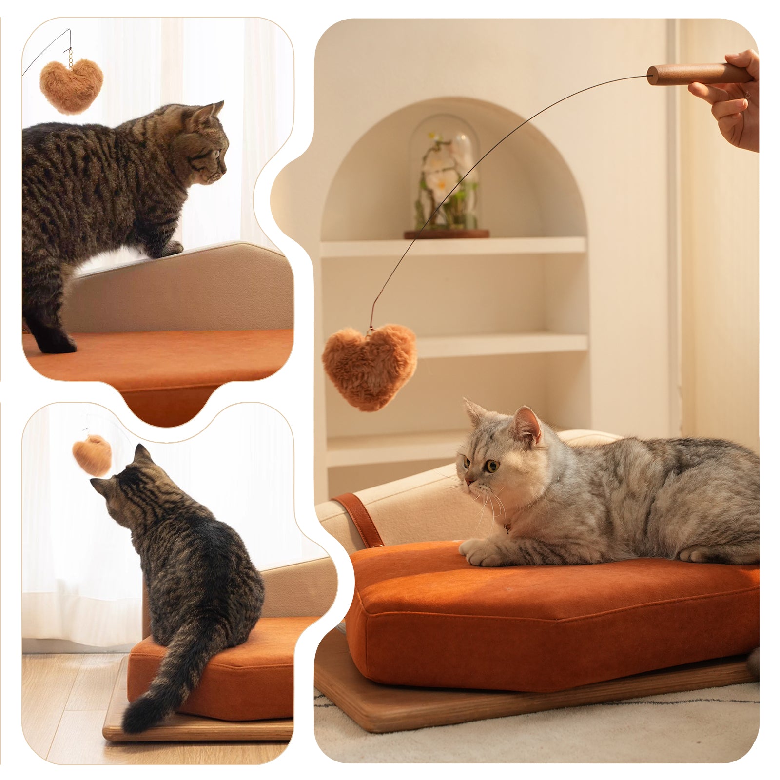 Wooden Pet Bed for Cats & Dogs by HouseOfZazla with orange cushion; two cats explore on Tampa Home & Garden Store