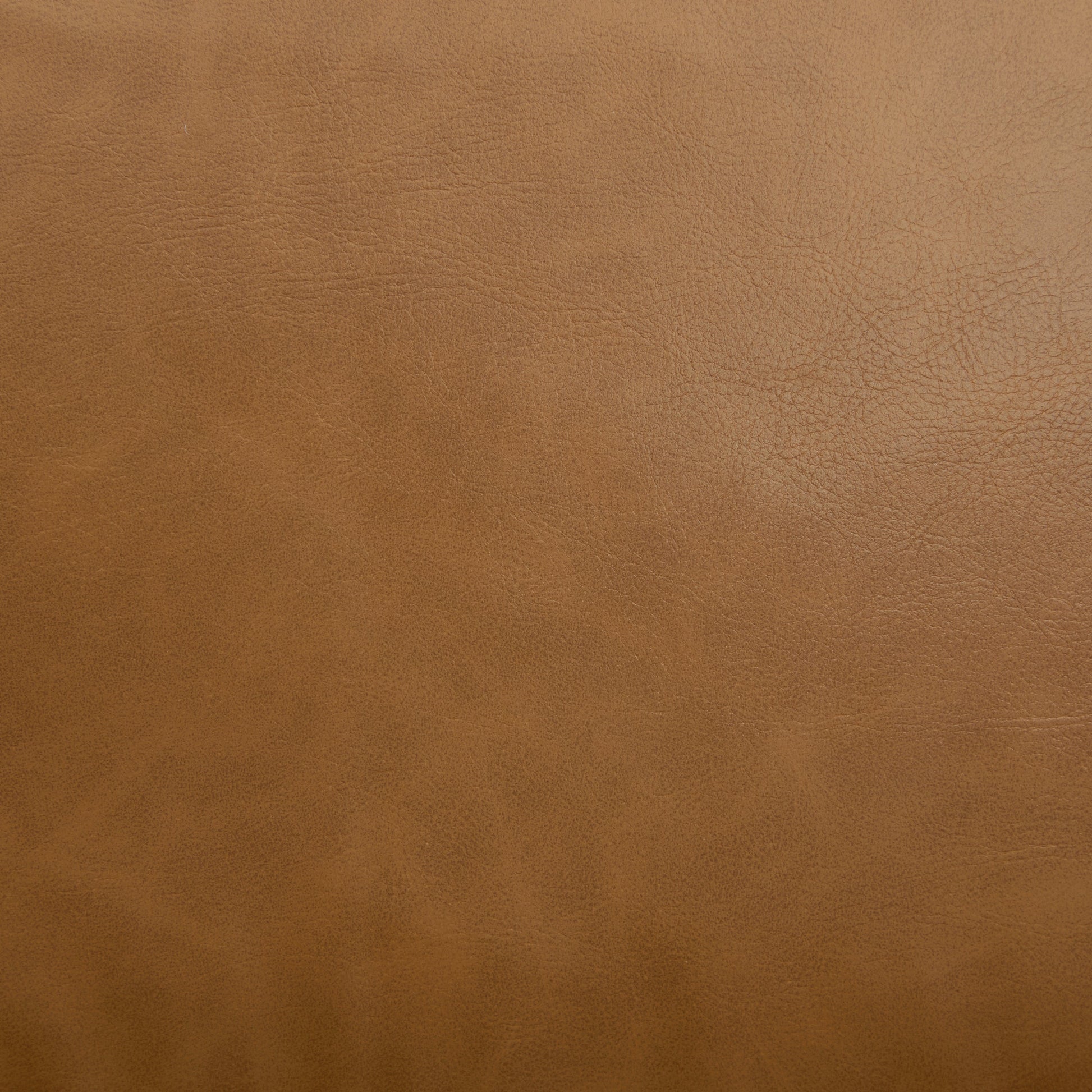 Brown leather texture close-up background with visible grain on Tampa Home & Garden Store