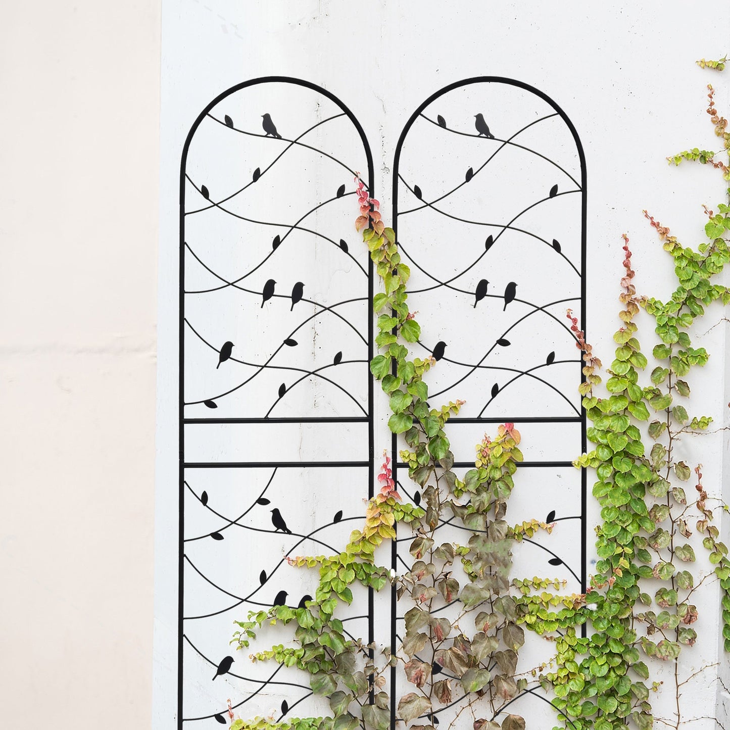 Two Rustproof Metal Garden Trellis and Supports