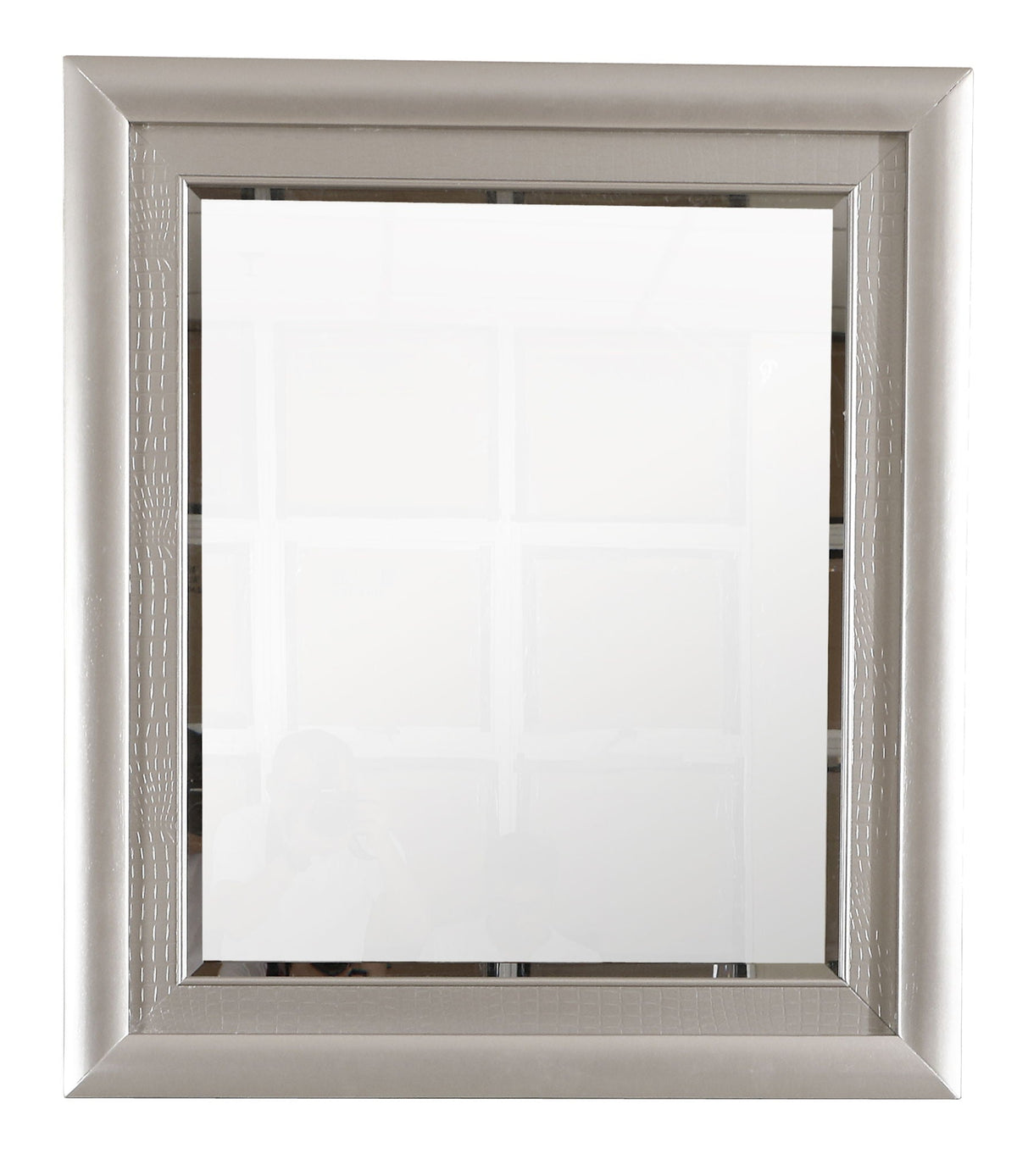 Wall mirror Kat with silver champagne frame and low distortion glass on Tampa Home & Garden Store