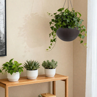 Self Watering Hanging Planter in dark woven basket with ivy and succulents on Tampa Home & Garden Store