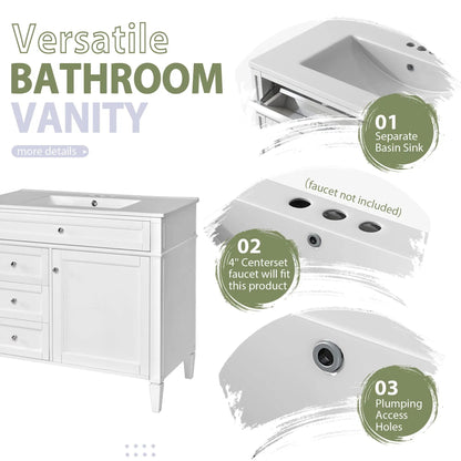 Bathroom vanity with mirror, white finish, single sink, 2 soft-closing doors and 4 drawers on Tampa Home & Garden Store