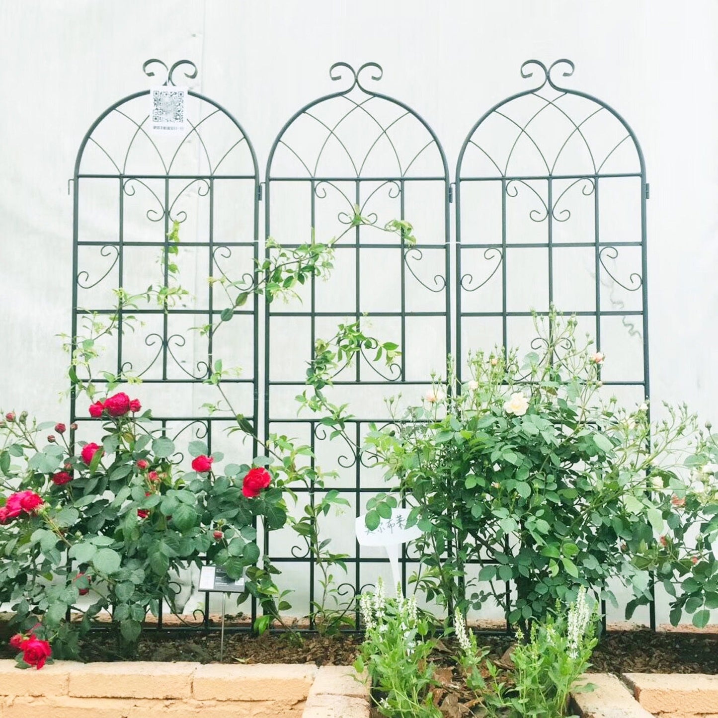 Metal Trellis For Climbing Plants And Vines