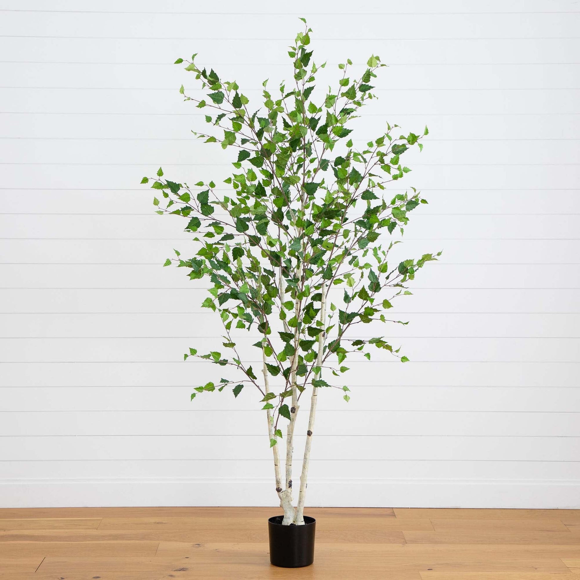 7’ Artificial Birch Tree with Real Touch Leaves - Tampa Home & Garden Store