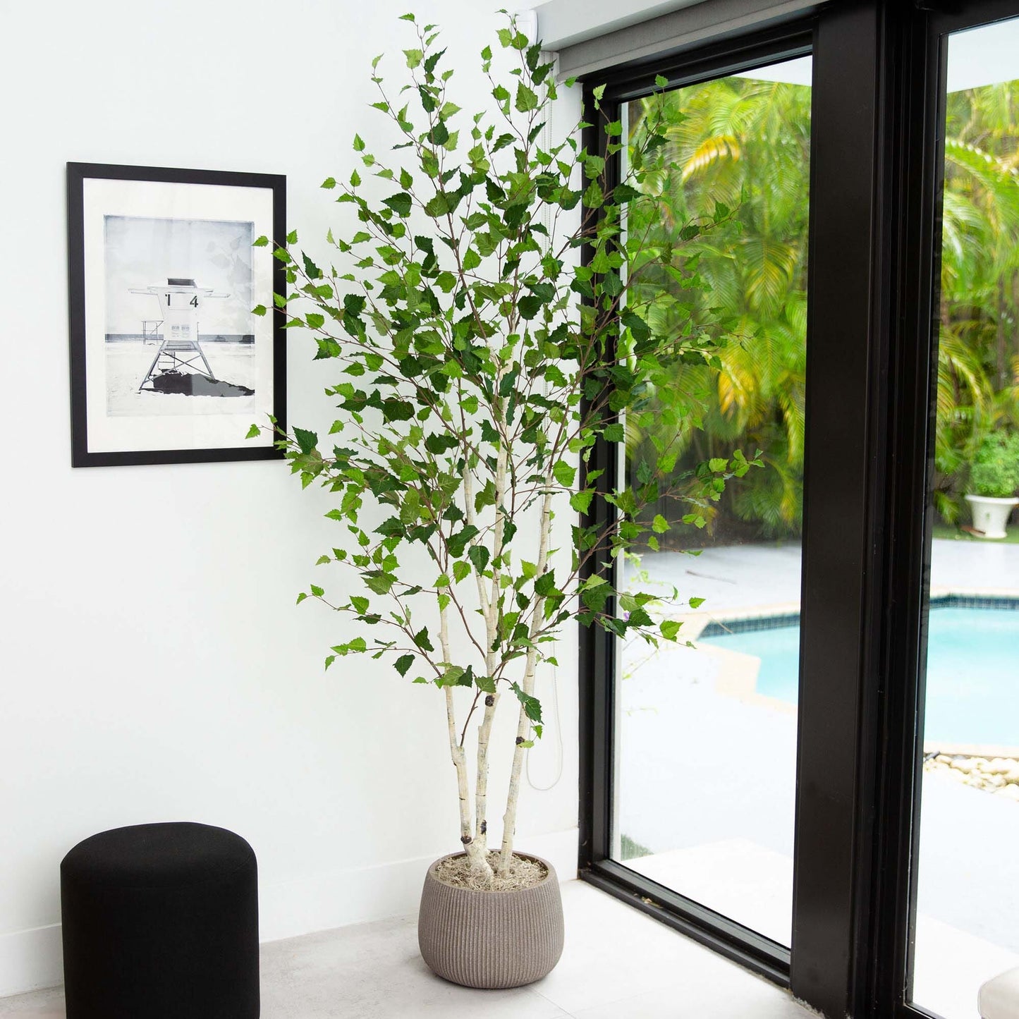 7’ Artificial Birch Tree with Real Touch Leaves - Tampa Home & Garden Store