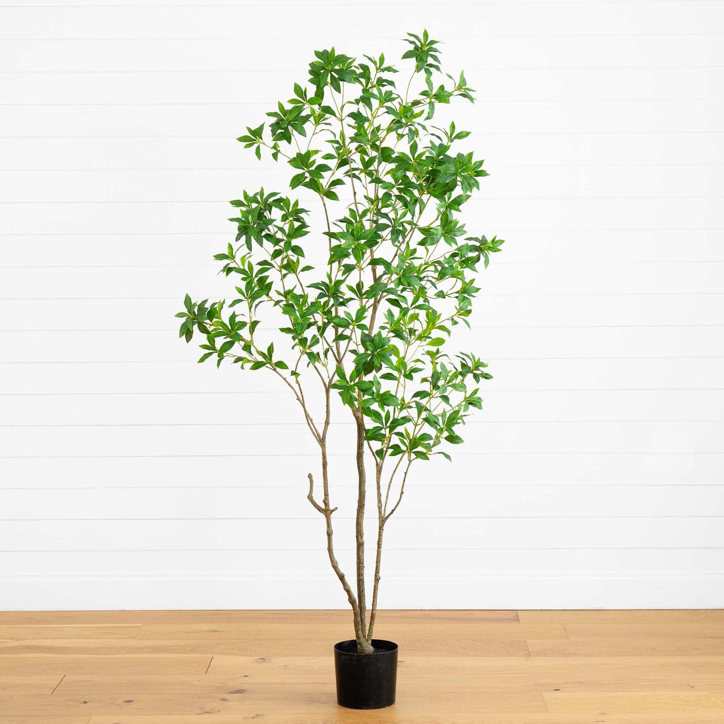 7’ Artificial Minimalist Japanese Pieris Tree - Tampa Home & Garden Store