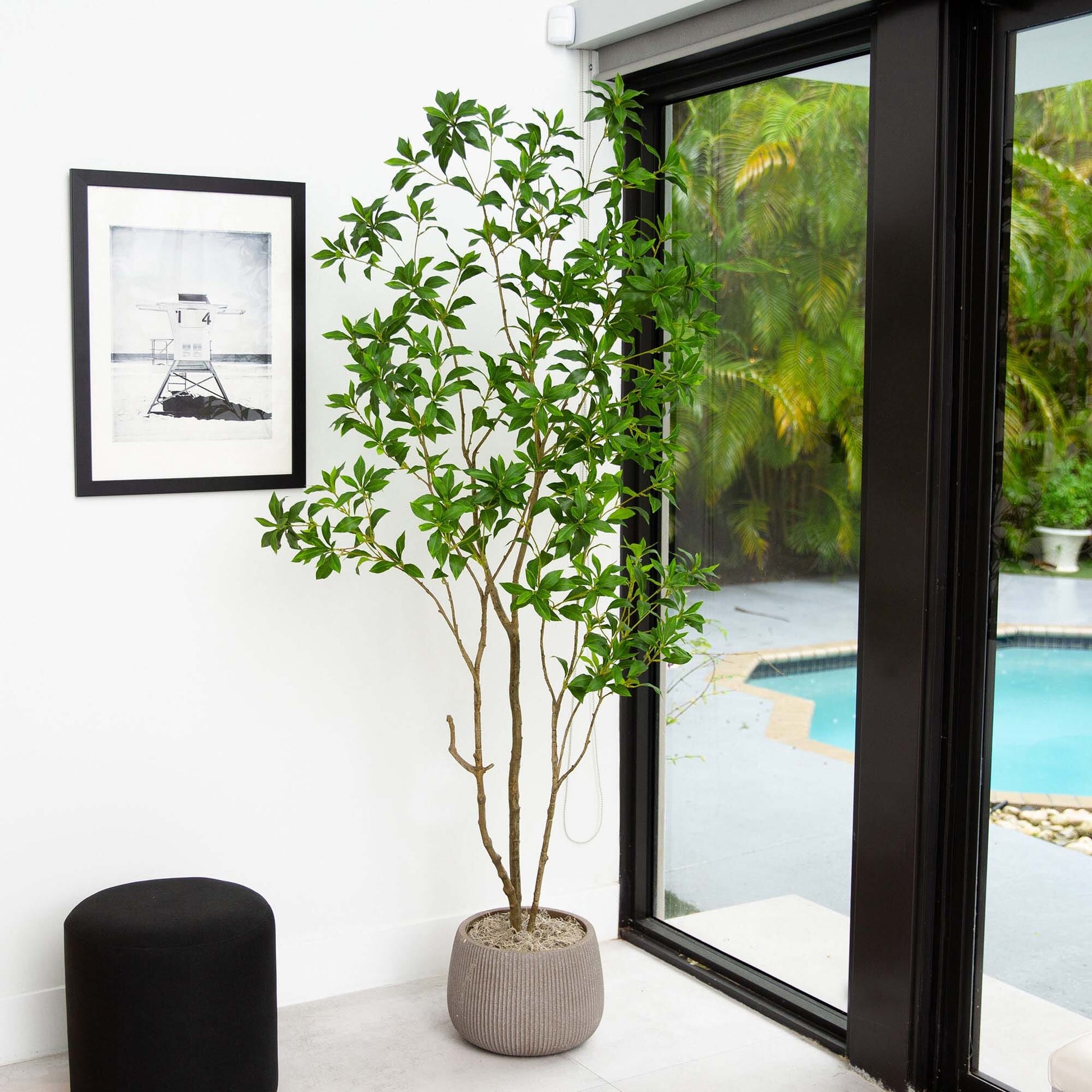 7’ Artificial Minimalist Japanese Pieris Tree - Tampa Home & Garden Store