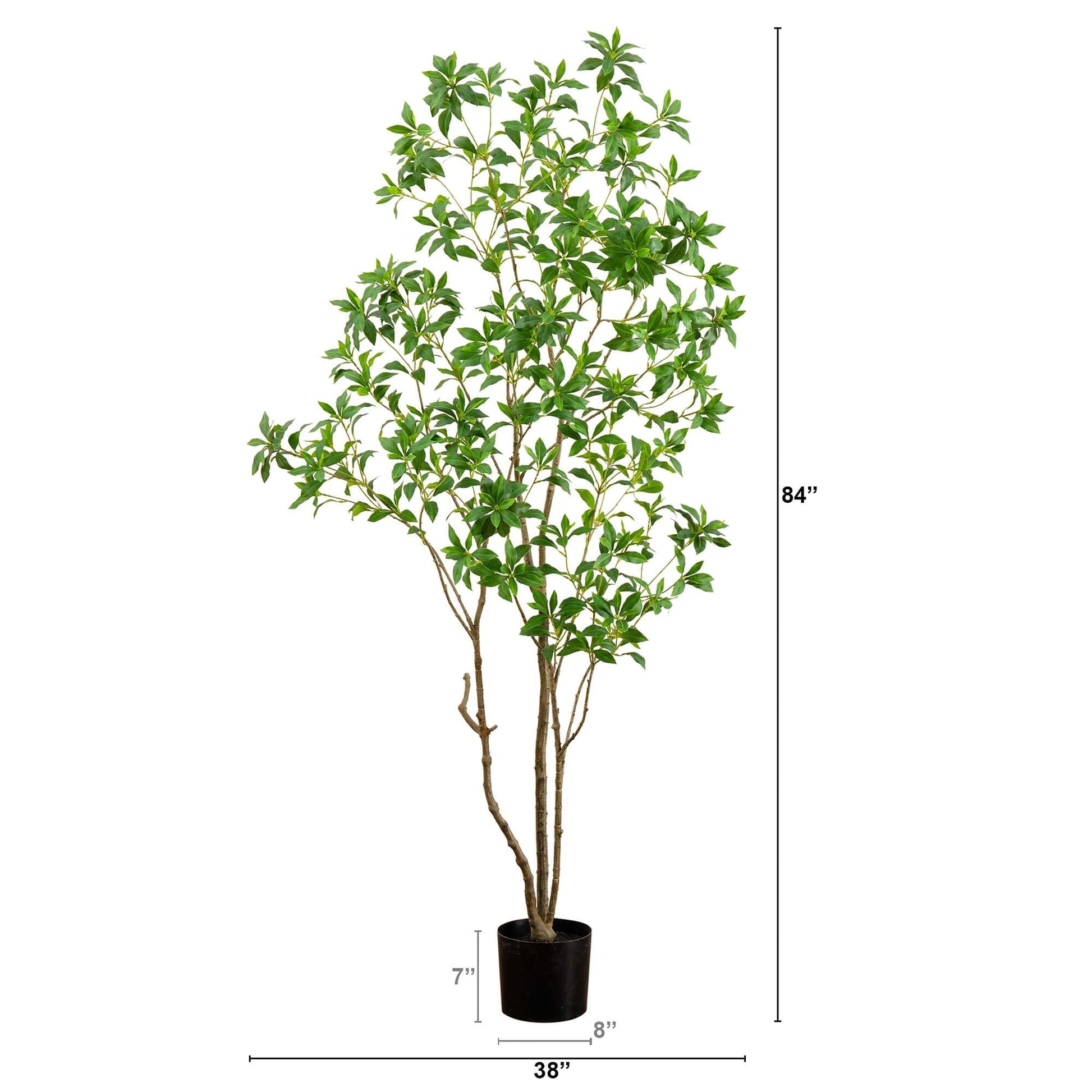 7’ Artificial Minimalist Japanese Pieris Tree - Tampa Home & Garden Store