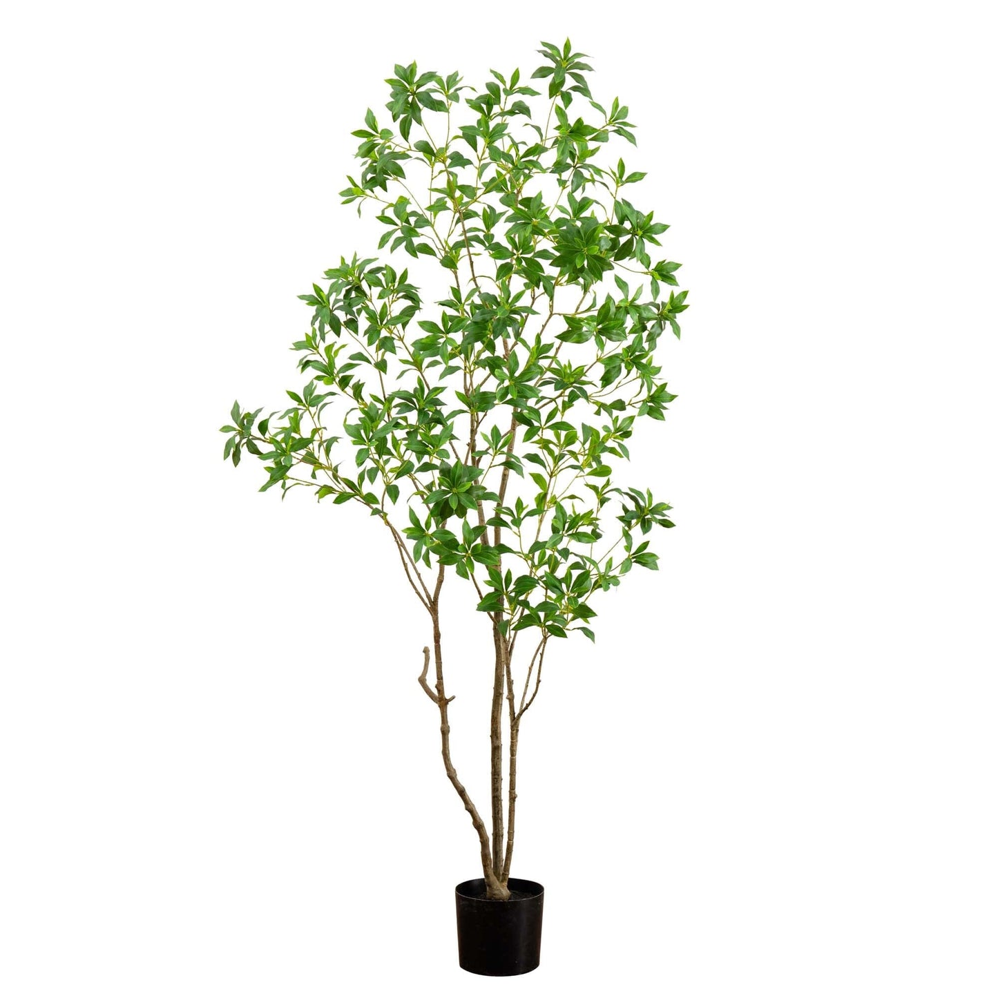 7’ Artificial Minimalist Japanese Pieris Tree - Tampa Home & Garden Store