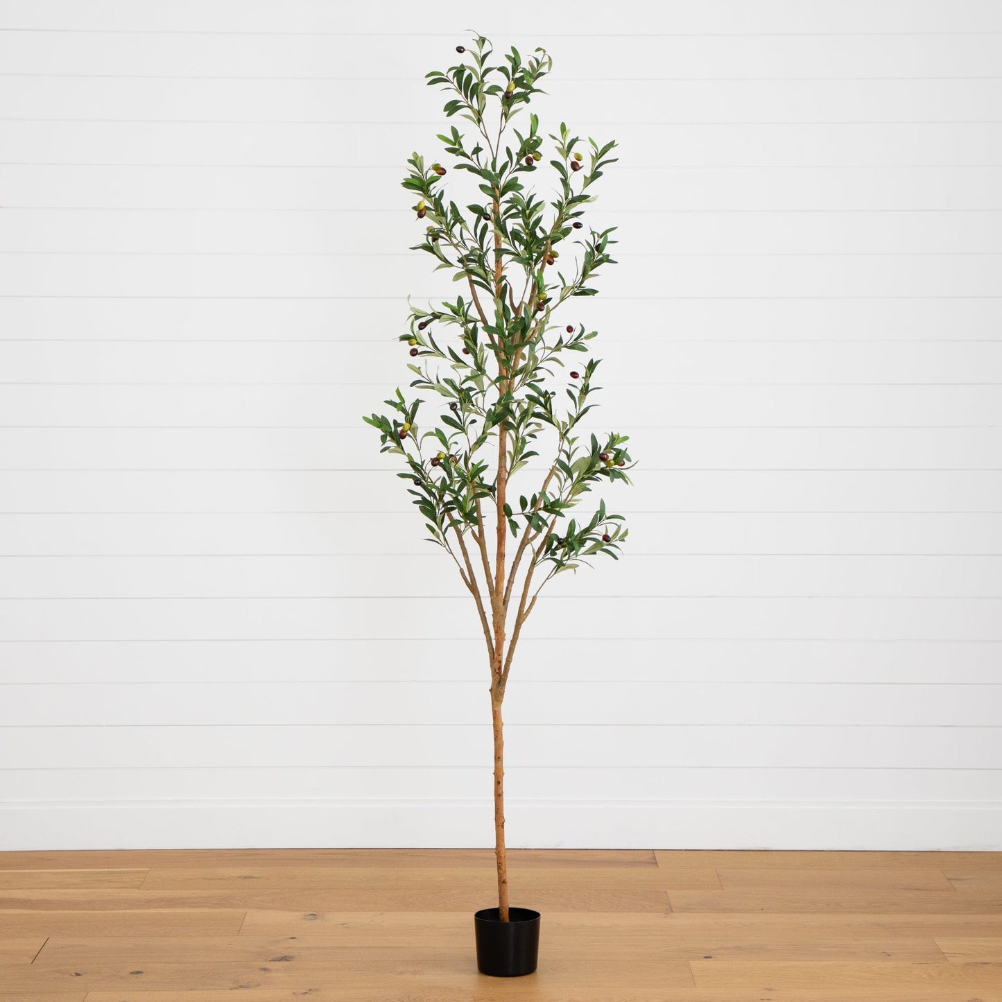 7' Artificial Olive Tree with Natural Trunk - Tampa Home & Garden Store