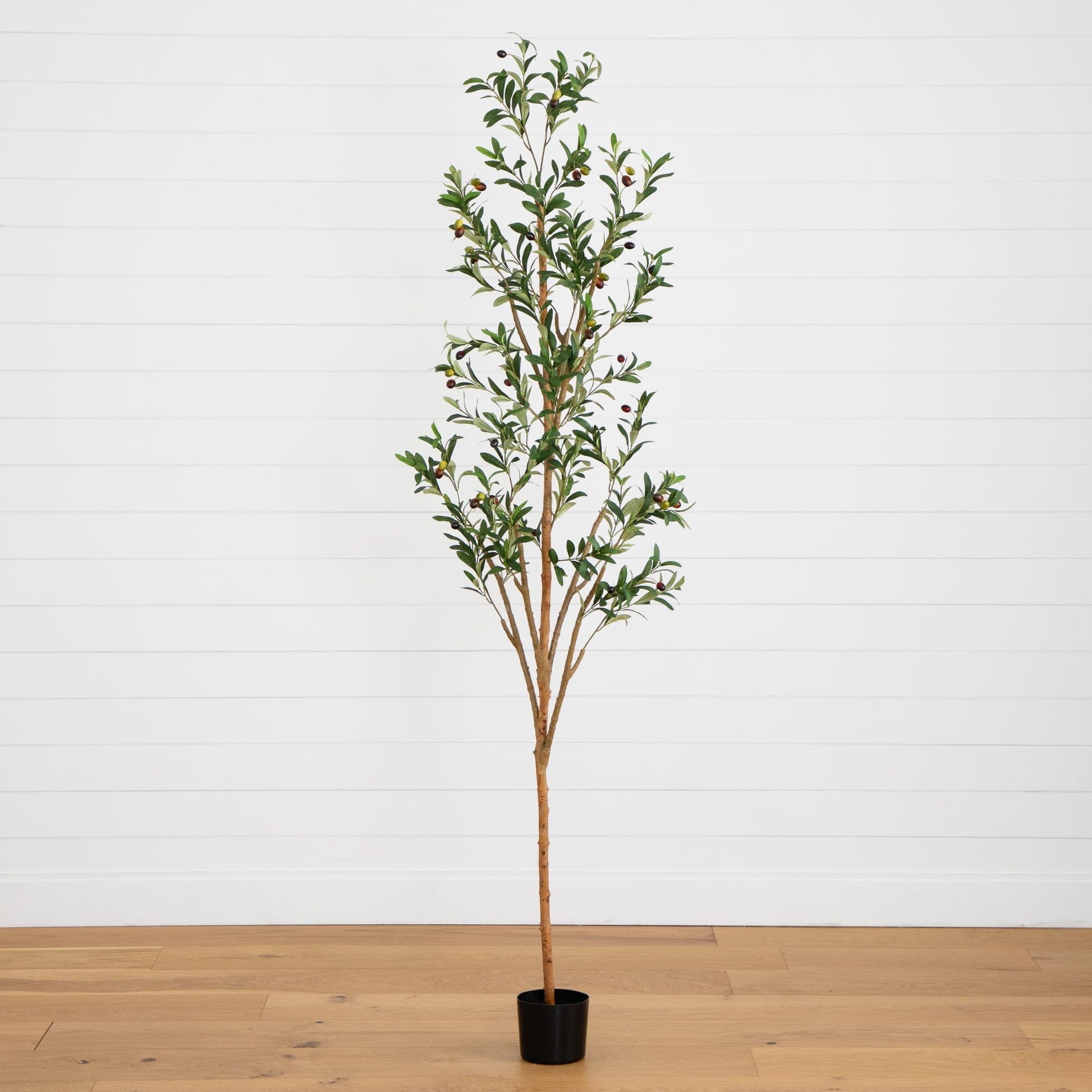 7' Artificial Olive Tree with Natural Trunk - Tampa Home & Garden Store