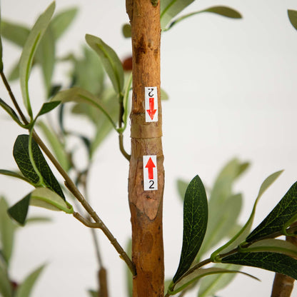 7' Artificial Olive Tree with Natural Trunk - Tampa Home & Garden Store