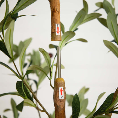 7' Artificial Olive Tree with Natural Trunk - Tampa Home & Garden Store