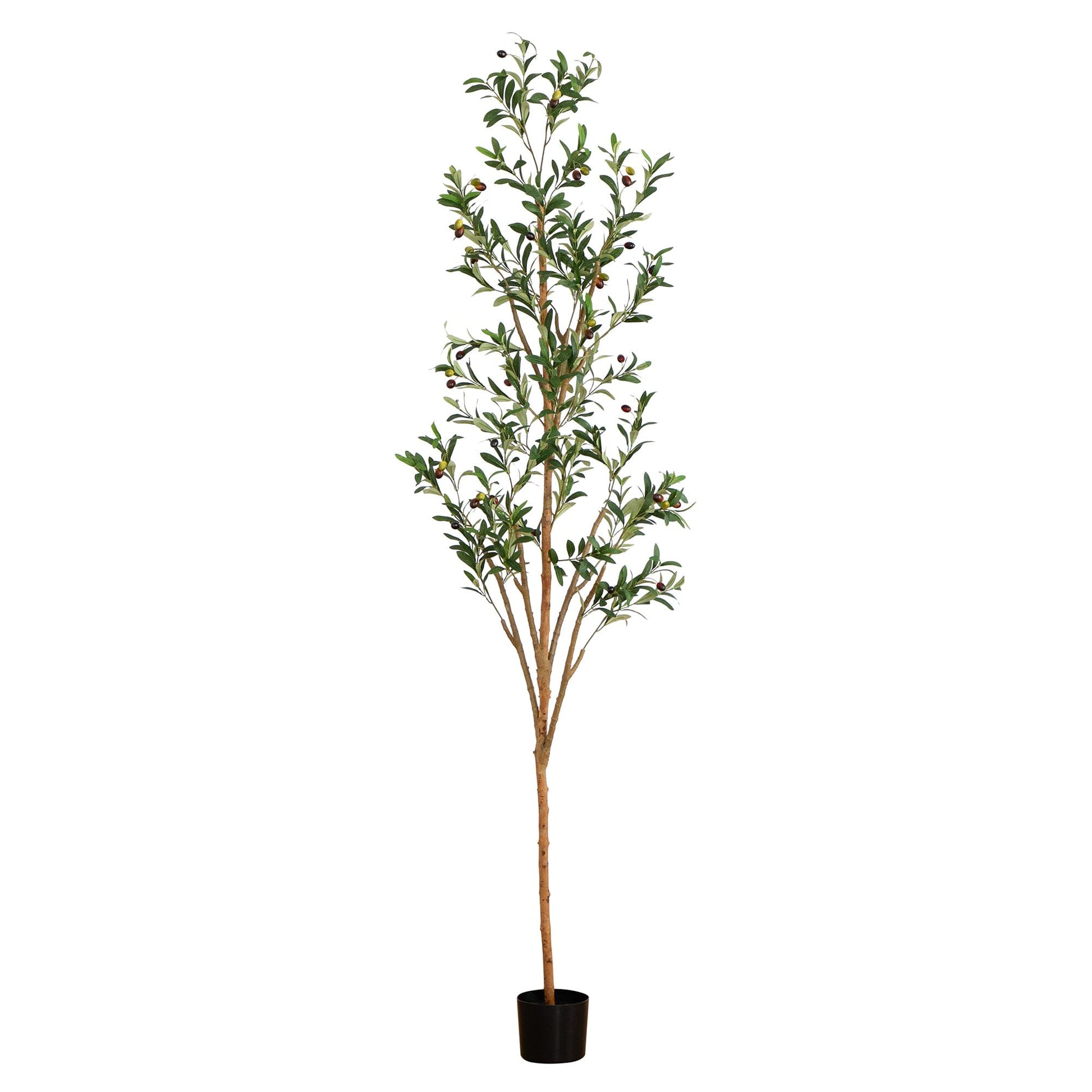 7' Artificial Olive Tree with Natural Trunk - Tampa Home & Garden Store