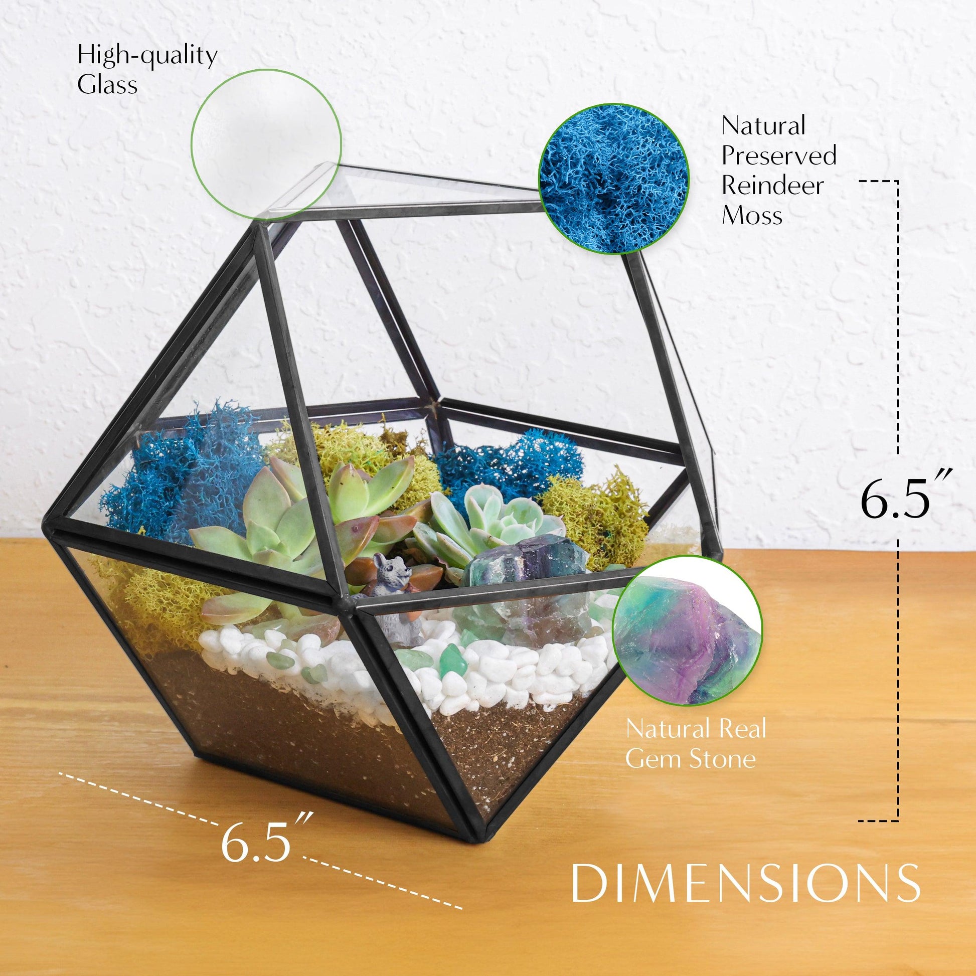 7” Black Glass Succulent Terrarium Kit | Geometric - Tampa soil911.com