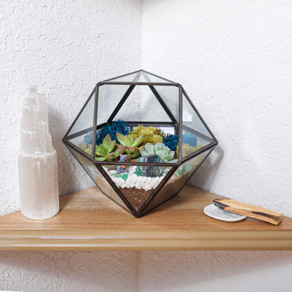 7” Black Glass Succulent Terrarium Kit | Geometric - Tampa soil911.com