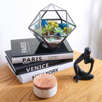 7” Black Glass Succulent Terrarium Kit | Geometric - Tampa Home & Garden Store
